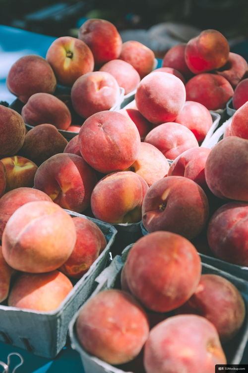 植物 水果 食品 桃 苹果 生产 美食摄影图片