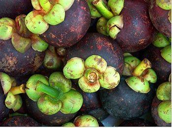 【图】绿色源 营养水果 香蕉 绿色食品 特色果蔬 优质保证 生鲜果品
