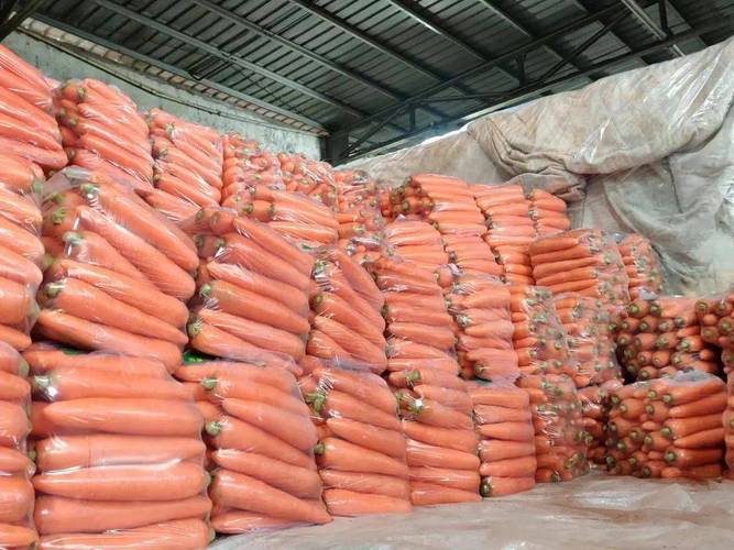 番茄辣椒豆角等都降价了 上海蔬菜批发混合均价跌多涨少_部分_价格