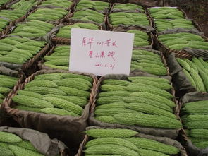 重庆的盘溪批发市场蔬菜零售吗