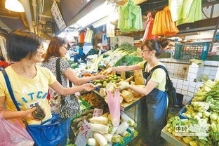 小白菜每公斤破百元 大台北菜价逼近8年最高值